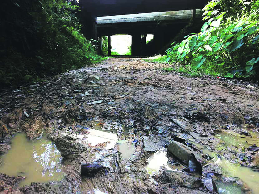 Take action before we lose our Rail Corridor
