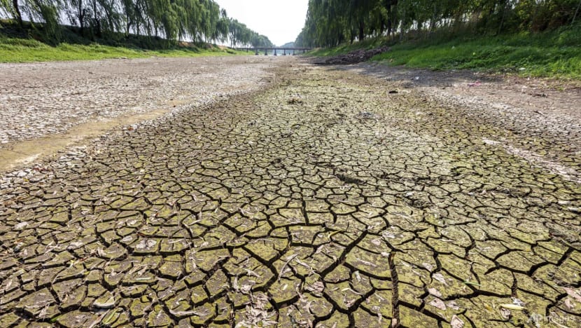 Drought, heatwave threaten harvest in China’s agricultural regions Drought, heatwave threaten harvest in China’s agricultural regions
