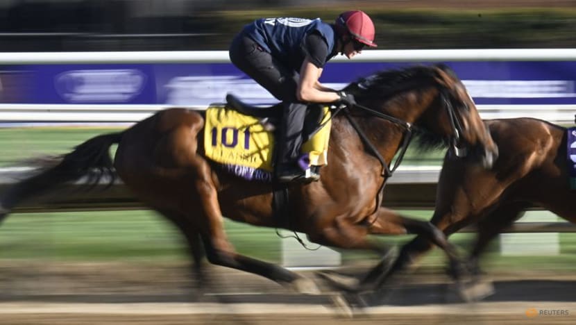 Horse racing-O'Brien looks to City of Troy to end Breeders' Cup drought Horse racing-O'Brien looks to City of Troy to end Breeders' Cup drought