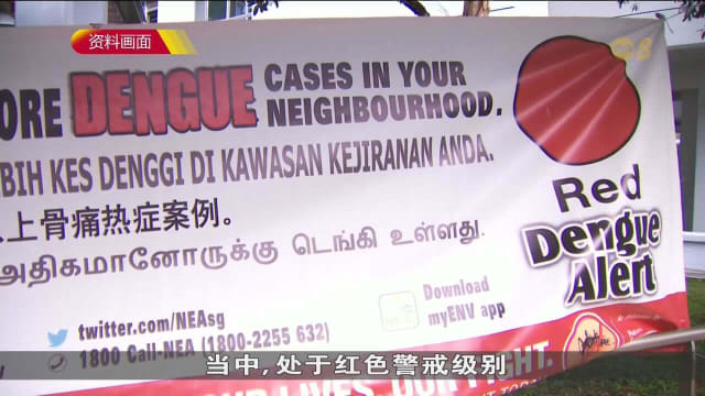 本地骨痛热症病例连续两周超过100起