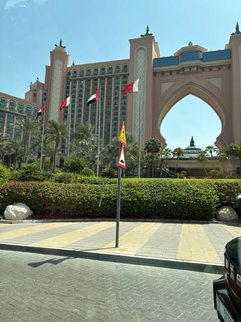 Related article image