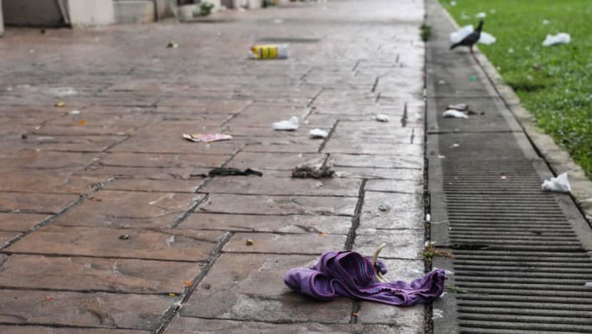 Pemilik, penyewa flat dipertanggungjawab atas kesalahan buang sampah dari tempat tinggi di bawah undang-undang baru