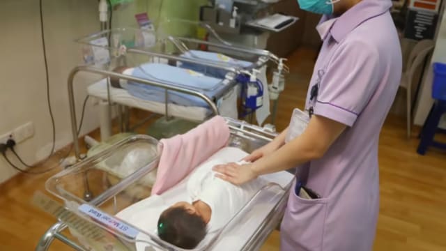 本地生育率低与生肖有关？专家：看龙年较准 