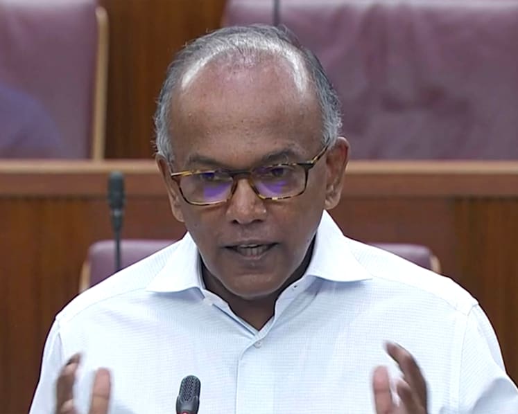 Boyfriend/girlfriend category under Familial Ties Lane removed because it was being abused: Shanmugam