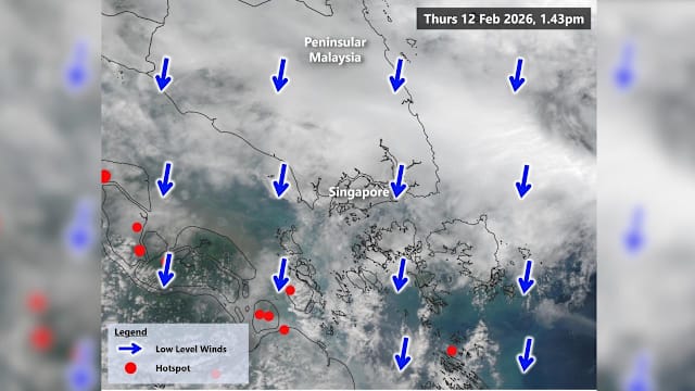 环境局：空气质量维持在良好水平 未来几天料持续迎来降雨