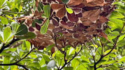 Related article image