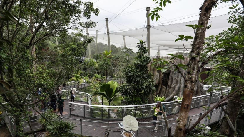 Singapore visitor arrivals up 115% to 13.6 million in 2023