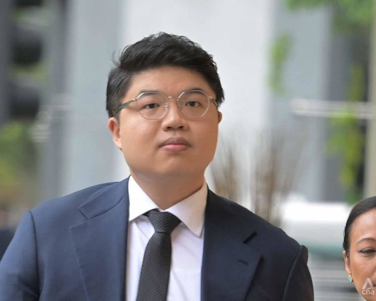 Story idea, article elements, wording 'designed to stick the knife’ into Shanmugam, Tan See Leng: Lawyer