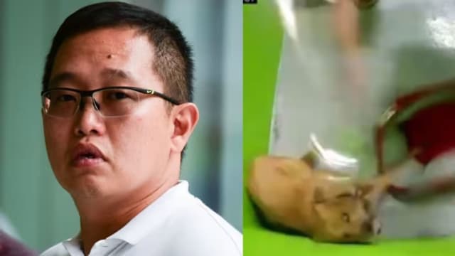 曾被控虐犬  训犬师再涉伪造证据被起诉