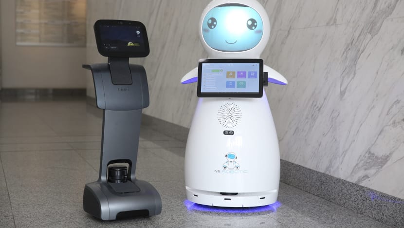Meet robots Snow and Temi, ready to help the young and old