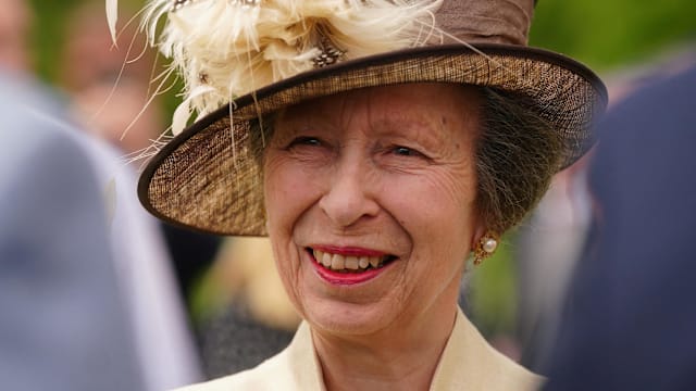 纪念新英两国建交60周年 英国安妮公主访问我国