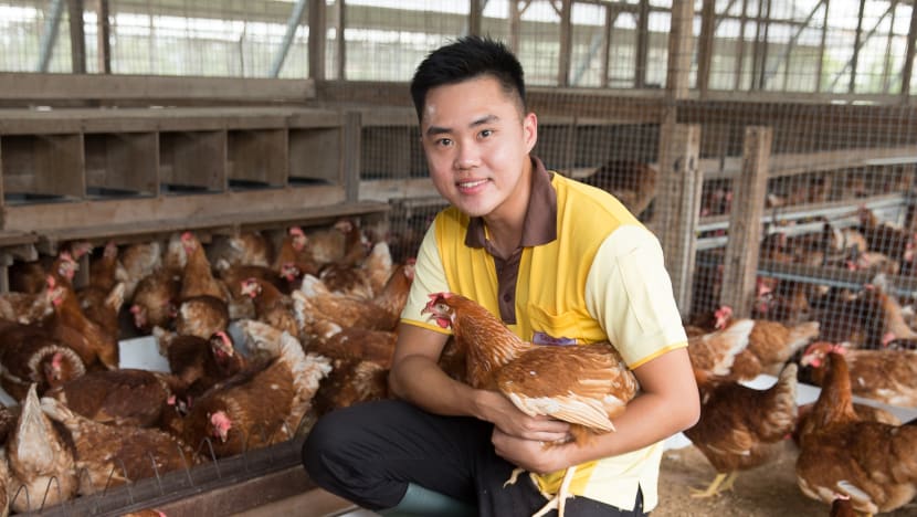 Egg supplier gets S$27 million DBS loan to build farm; conditions apply Egg supplier gets S$27 million DBS loan to build farm; conditions apply