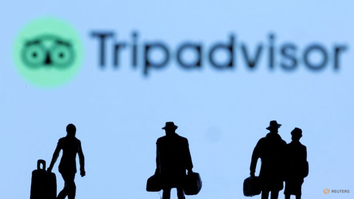 Tripadvisor engages with Starboard as activist seeks board control, sale - CNA