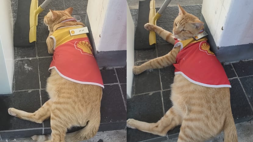 Gambar Pilihan Hari Ini