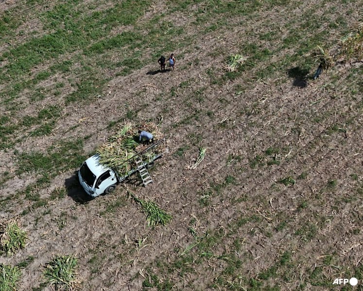 El Nino to be 'very strong', last until February, UN warns