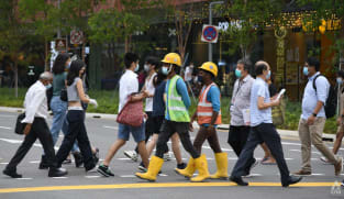 No shifts in firms' hiring preferences between locals and foreigners for now: Tan See Leng