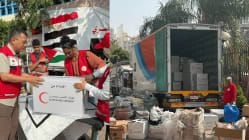 Related article image