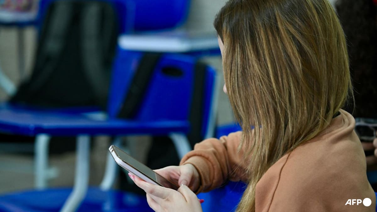 Brazil starts to restrict minors' access to social media