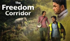 The Freedom Corridor