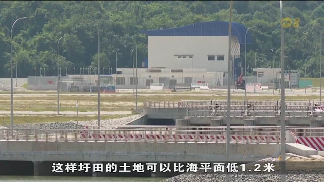 本地首个圩田工程项目落成 地点位于德光岛