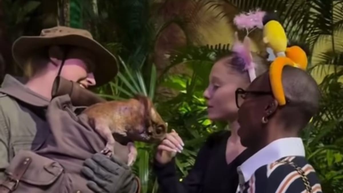 Ariana Grande and Cynthia Erivo’s night at Universal Studios Singapore ahead of Wicked: For Good premiere