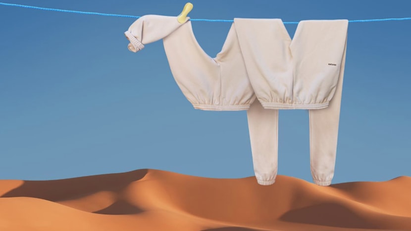 Gambar Pilihan Hari Ini