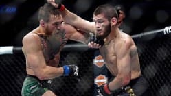 Related article image