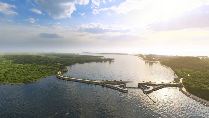 Coastal barriers, shoreline upgrades among proposed moves to shield southeast Singapore against rising seas Coastal barriers, shoreline upgrades among proposed moves to shield southeast Singapore against rising seas
