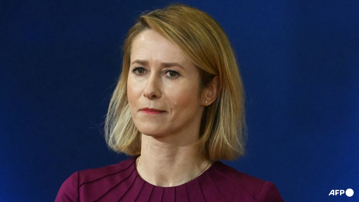 EU top diplomat urges 'more European' NATO as Trump upends ties