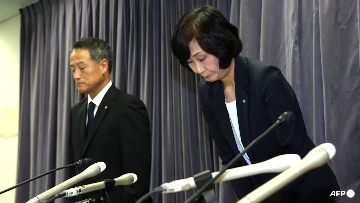 Japan Airlines hit with second warning over drunk pilots Japan Airlines hit with second warning over drunk pilots