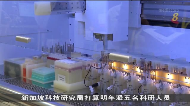陈诗龙：鼓励中小企业继续创新 捕捉新增长机遇