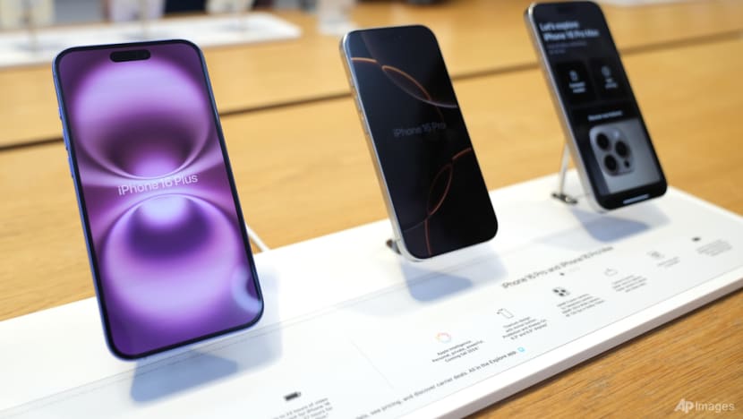 Commentary: Indonesia’s iPhone 16 ban sends the wrong message to foreign investors Commentary: Indonesia’s iPhone 16 ban sends the wrong message to foreign investors