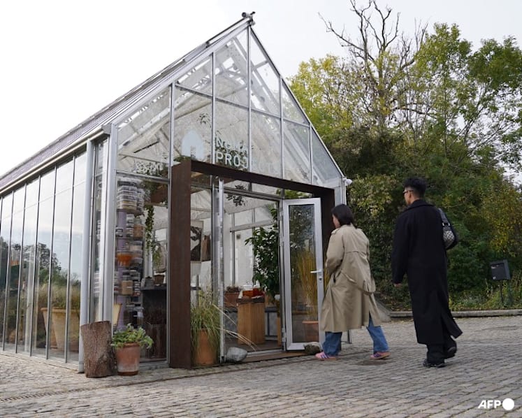 Denmark's fabled restaurant noma sells products to amateur cooks