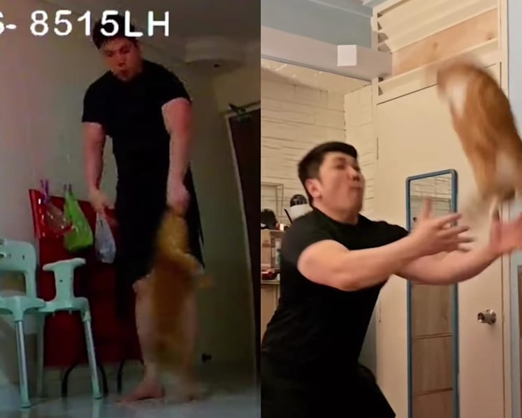 #trending: Man under fire for allegedly mistreating cat in viral videos issues public apology