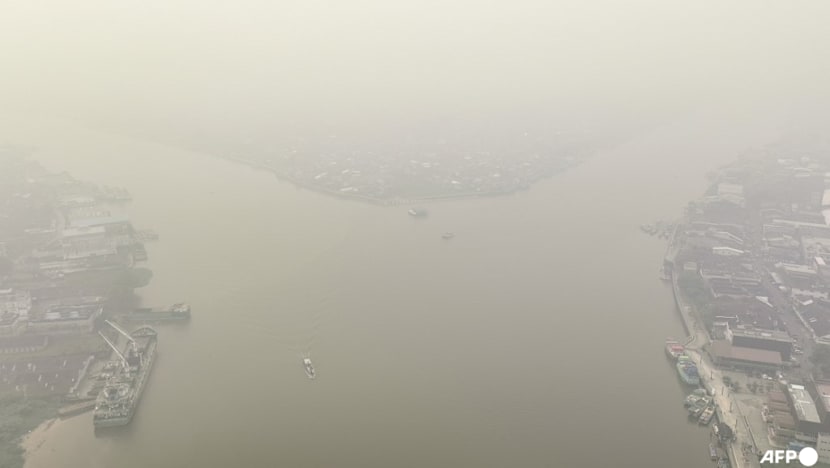 Indonesia closes 9 national parks temporarily following forest fires; prioritises firefighting in 6 provinces