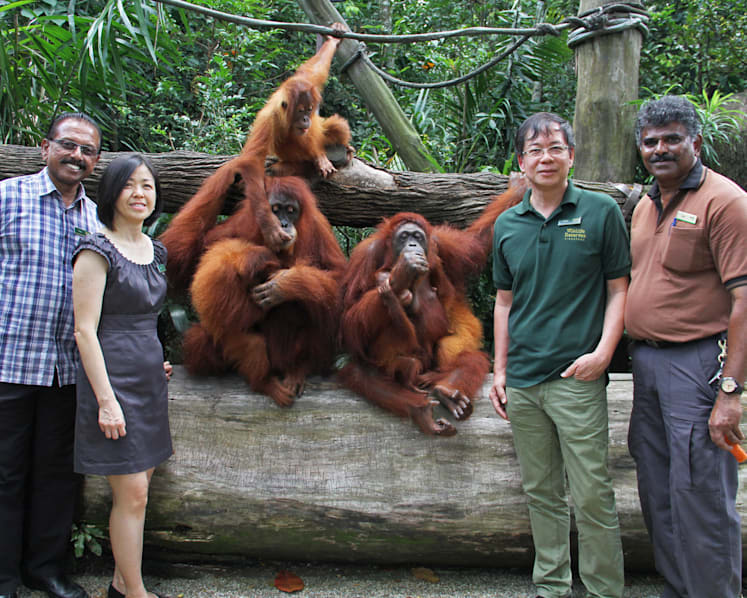 Mr Lee Kuan Yew wanted a zoo as successful as Singapore