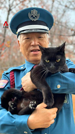 Ken-chan, famous cat who always tried to enter museum in Japan, dies
