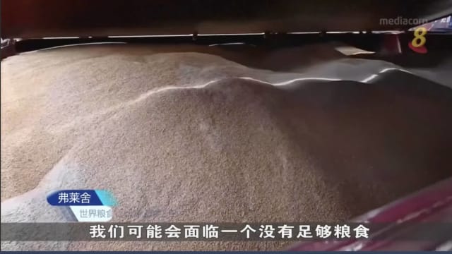 世界粮食计划署：乌克兰下一季谷物收成料减三成