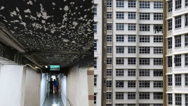 亨德申组屋起火民防人员殉职 | 建屋局解释BTO定价