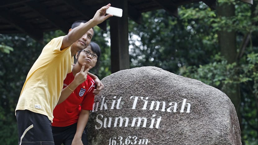 Part of Bukit Timah Nature Reserve to reopen to public on weekends