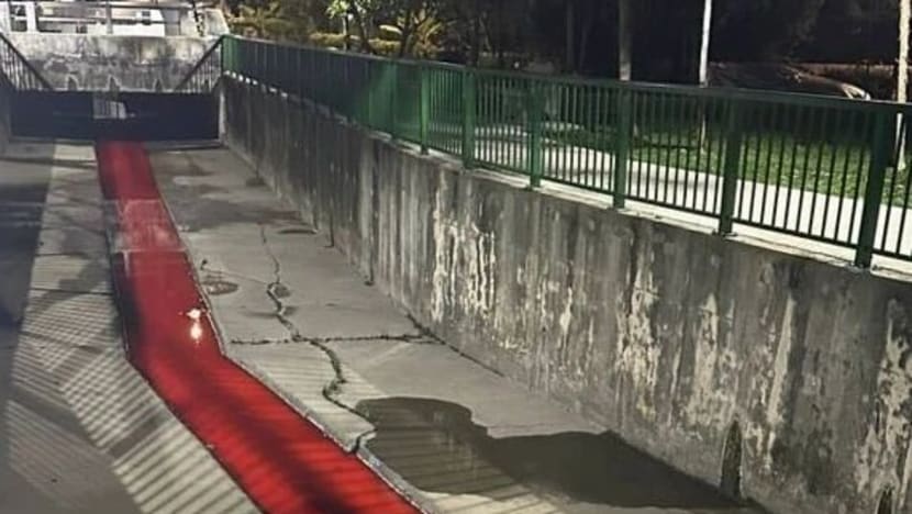 'Red discharge' spotted in Kembangan canal was from car wash company: NEA