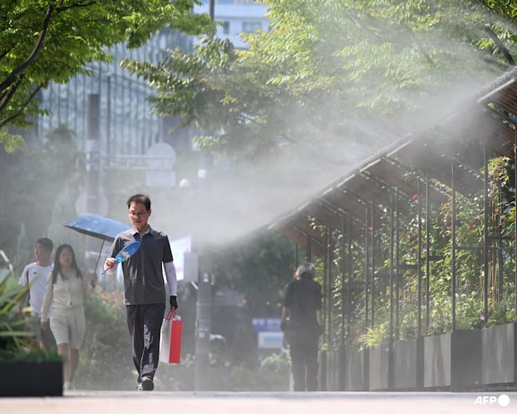 South Korea's Lee urges authorities to step up support as heatwave kills 16 South Korea's Lee urges authorities to step up support as heatwave kills 16