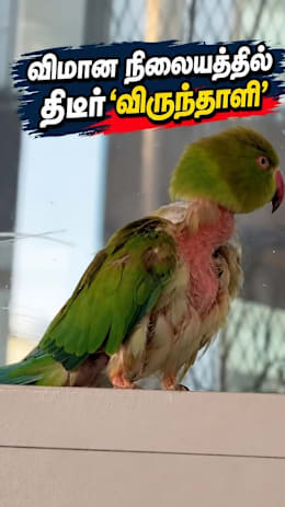 விமான நிலையத்தில்