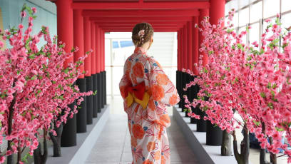 You Can Now Book Japan-Themed Cruises To Nowhere To Pretend You’re In Kyoto Or Hokkaido