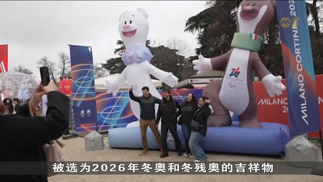 冬奥吉祥物雪鼬走红 学者：其生存正面临气候变化威胁