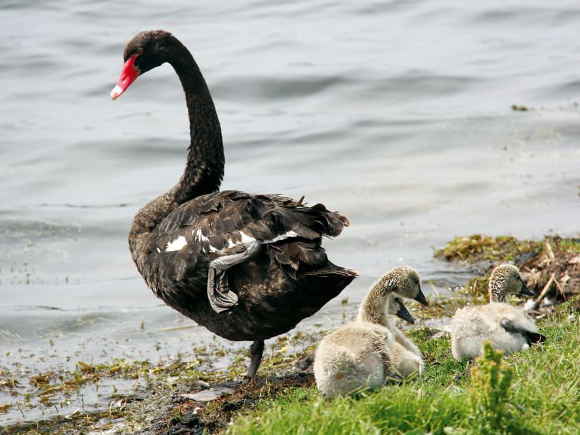 Five highlights of Western Australia