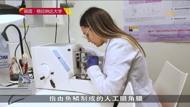 西班牙成功用鱼鳞制成人工眼角膜