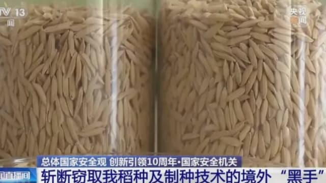 以“合作制种”为幌子 中称间谍窃取中国优质稻种
