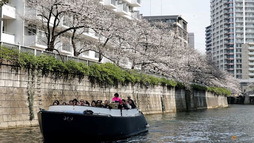 Pricier fuel hits Tokyo cherry blossom river cruises ​