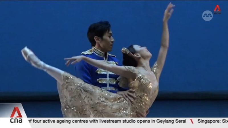 Singapore Ballet on global stage: Company puts on two sold-out shows at Cairo Opera House